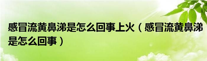 感冒流黃鼻涕是怎么回事上火（感冒流黃鼻涕是怎么回事）