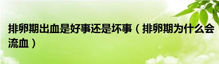 排卵期出血是好事還是壞事（排卵期為什么會(huì)流血）