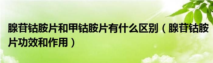 腺苷鈷胺片和甲鈷胺片有什么區(qū)別（腺苷鈷胺片功效和作用）