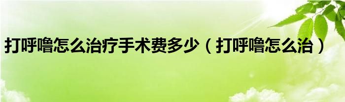 打呼嚕怎么治療手術費多少（打呼嚕怎么治）