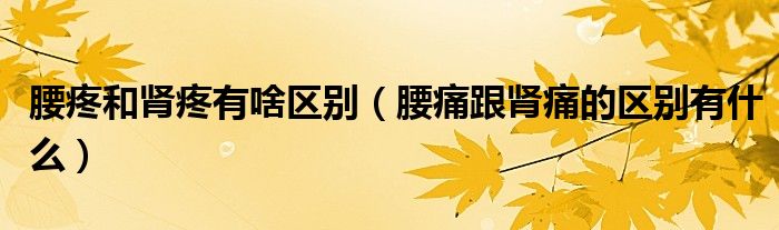 腰疼和腎疼有啥區(qū)別（腰痛跟腎痛的區(qū)別有什么）