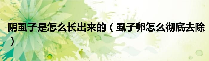 陰虱子是怎么長(zhǎng)出來的（虱子卵怎么徹底去除）