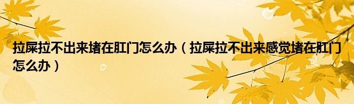 拉屎拉不出來堵在肛門怎么辦（拉屎拉不出來感覺堵在肛門怎么辦）