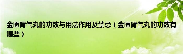 金匱腎氣丸的功效與用法作用及禁忌（金匱腎氣丸的功效有哪些）