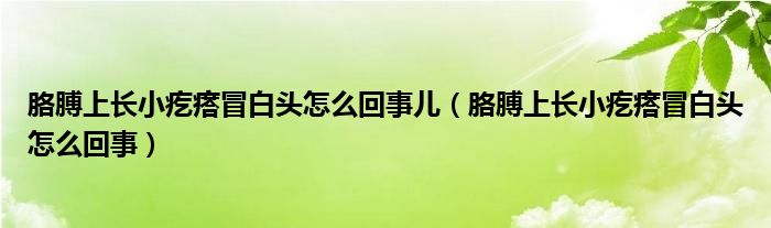 胳膊上長(zhǎng)小疙瘩冒白頭怎么回事兒（胳膊上長(zhǎng)小疙瘩冒白頭怎么回事）