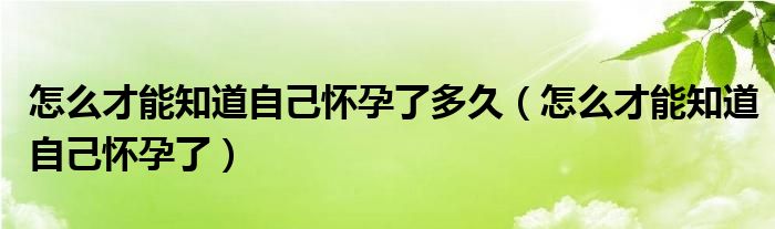 怎么才能知道自己懷孕了多久（怎么才能知道自己懷孕了）