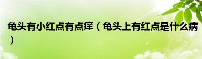 龜頭有小紅點(diǎn)有點(diǎn)癢（龜頭上有紅點(diǎn)是什么?。?class='thumb lazy' /></a>
		    <header>
		<h2><a  href=