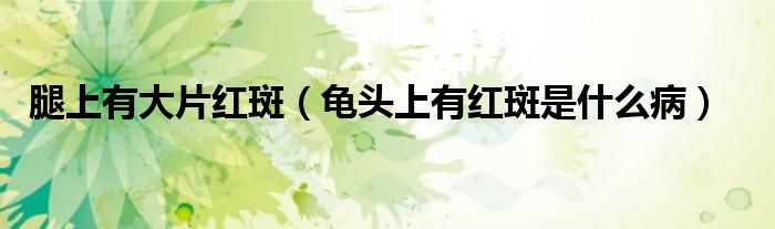 腿上有大片紅斑（龜頭上有紅斑是什么?。?class='thumb lazy' /></a>
		    <header>
		<h2><a  href=