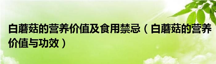 白蘑菇的營養(yǎng)價(jià)值及食用禁忌（白蘑菇的營養(yǎng)價(jià)值與功效）