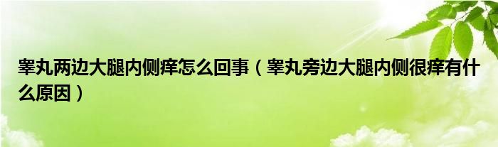 睪丸兩邊大腿內(nèi)側(cè)癢怎么回事（睪丸旁邊大腿內(nèi)側(cè)很癢有什么原因）