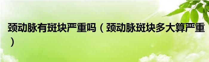 頸動脈有斑塊嚴重嗎（頸動脈斑塊多大算嚴重）