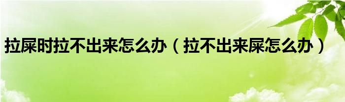 拉屎時拉不出來怎么辦（拉不出來屎怎么辦）