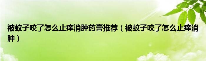 被蚊子咬了怎么止癢消腫藥膏推薦（被蚊子咬了怎么止癢消腫）