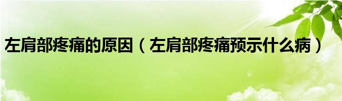 左肩部疼痛的原因（左肩部疼痛預(yù)示什么?。?class='thumb lazy' /></a>
		    <header>
		<h2><a  href=