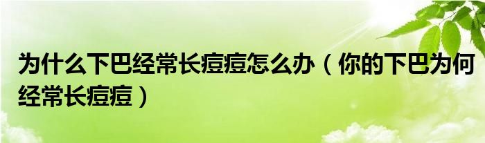 為什么下巴經(jīng)常長痘痘怎么辦（你的下巴為何經(jīng)常長痘痘）