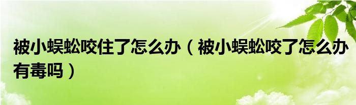 被小蜈蚣咬住了怎么辦（被小蜈蚣咬了怎么辦有毒嗎）