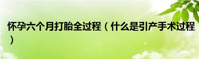 懷孕六個月打胎全過程（什么是引產(chǎn)手術(shù)過程）