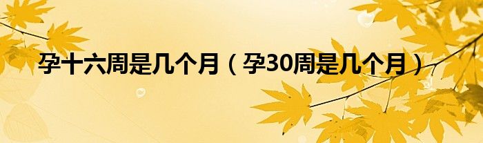 孕十六周是幾個(gè)月（孕30周是幾個(gè)月）