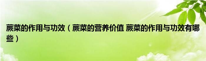 蕨菜的作用與功效（蕨菜的營(yíng)養(yǎng)價(jià)值 蕨菜的作用與功效有哪些）