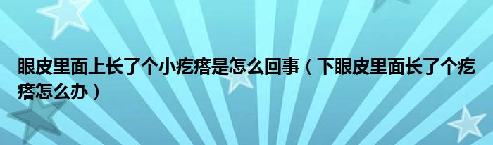 眼皮里面上長了個小疙瘩是怎么回事（下眼皮里面長了個疙瘩怎么辦）