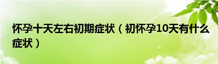 懷孕十天左右初期癥狀（初懷孕10天有什么癥狀）