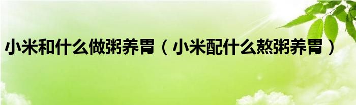 小米和什么做粥養(yǎng)胃（小米配什么熬粥養(yǎng)胃）