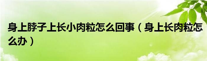 身上脖子上長小肉粒怎么回事（身上長肉粒怎么辦）