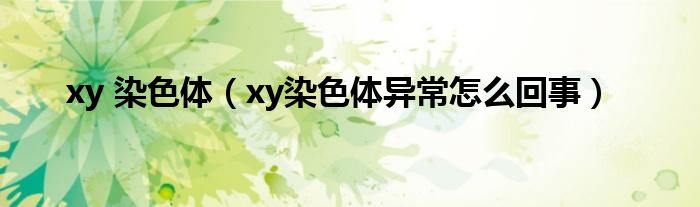 xy 染色體（xy染色體異常怎么回事）