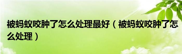 被螞蟻咬腫了怎么處理最好（被螞蟻咬腫了怎么處理）