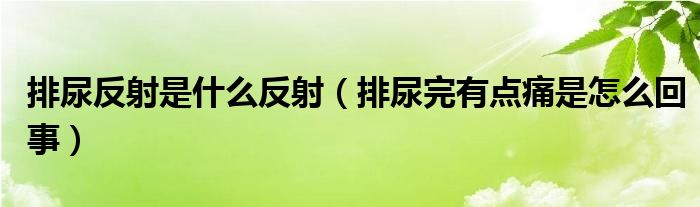 排尿反射是什么反射（排尿完有點(diǎn)痛是怎么回事）