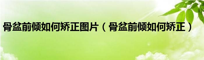 骨盆前傾如何矯正圖片（骨盆前傾如何矯正）