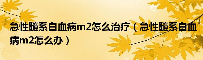 急性髓系白血病m2怎么治療（急性髓系白血病m2怎么辦）