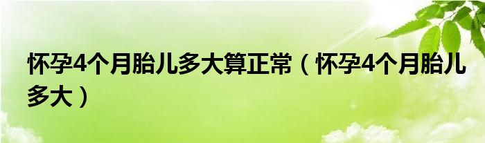 懷孕4個月胎兒多大算正常（懷孕4個月胎兒多大）