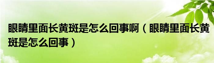 眼睛里面長黃斑是怎么回事?。ㄑ劬锩骈L黃斑是怎么回事）