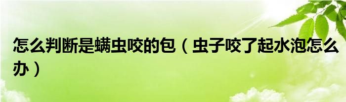 怎么判斷是螨蟲咬的包（蟲子咬了起水泡怎么辦）