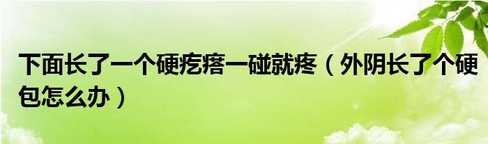 下面長了一個硬疙瘩一碰就疼（外陰長了個硬包怎么辦）