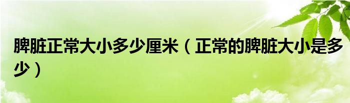 脾臟正常大小多少厘米（正常的脾臟大小是多少）