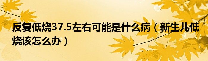 反復(fù)低燒37.5左右可能是什么?。ㄐ律鷥旱蜔撛趺崔k）