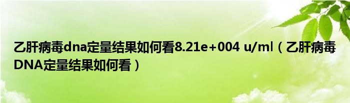 乙肝病毒dna定量結果如何看8.21e+004 u/ml（乙肝病毒DNA定量結果如何看）