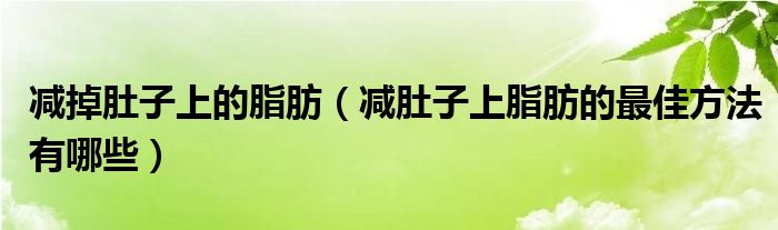 減掉肚子上的脂肪（減肚子上脂肪的最佳方法有哪些）