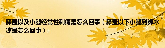 膝蓋以及小腿經(jīng)常性刺痛是怎么回事（膝蓋以下小腿到腳冰涼是怎么回事）