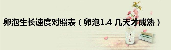 卵泡生長速度對照表（卵泡1.4 幾天才成熟）