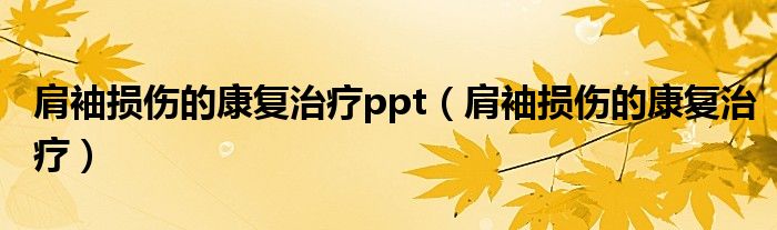 肩袖損傷的康復(fù)治療ppt（肩袖損傷的康復(fù)治療）