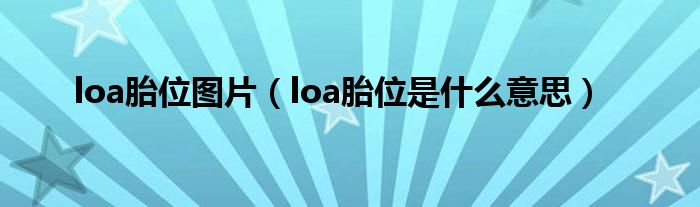 loa胎位圖片（loa胎位是什么意思）