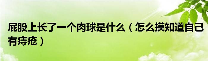 屁股上長了一個肉球是什么（怎么摸知道自己有痔瘡）