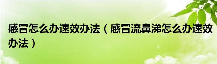 感冒怎么辦速效辦法（感冒流鼻涕怎么辦速效辦法）