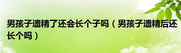 男孩子遺精了還會(huì)長(zhǎng)個(gè)子嗎（男孩子遺精后還長(zhǎng)個(gè)嗎）