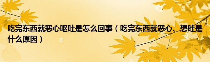 吃完?yáng)|西就惡心嘔吐是怎么回事（吃完?yáng)|西就惡心、想吐是什么原因）