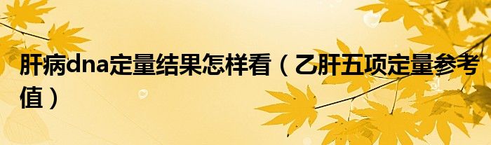 肝病dna定量結(jié)果怎樣看（乙肝五項(xiàng)定量參考值）