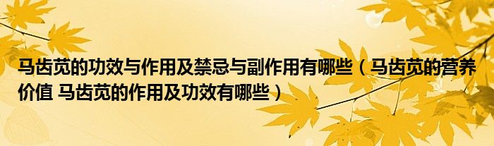 馬齒莧的功效與作用及禁忌與副作用有哪些（馬齒莧的營(yíng)養(yǎng)價(jià)值 馬齒莧的作用及功效有哪些）